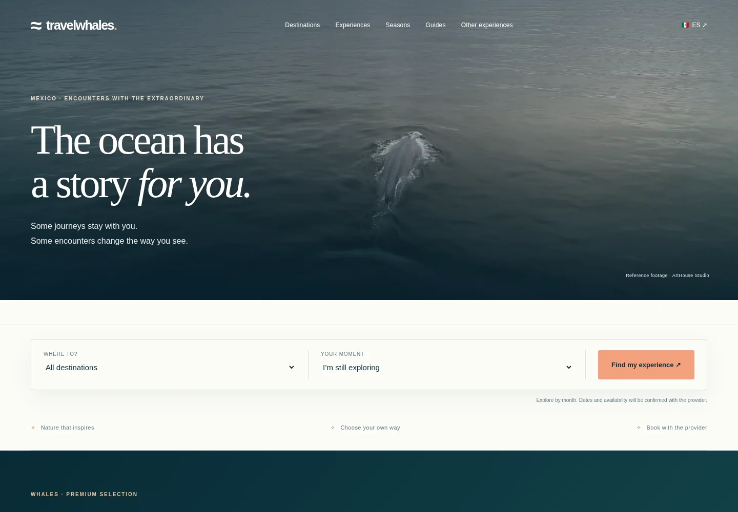 Página de inicio de TravelWhales