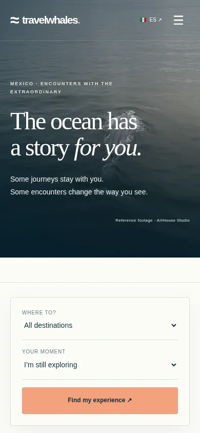 TravelWhales en móvil
